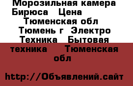 Морозильная камера Бирюса › Цена ­ 3 900 - Тюменская обл., Тюмень г. Электро-Техника » Бытовая техника   . Тюменская обл.